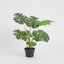 Monstera Tree Real Touch 85cm - House of Isabella AU