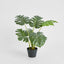 Monstera Tree Real Touch 85cm - House of Isabella AU