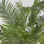 Artificial Areca Palm 1.7m Real Touch - House of Isabella AU