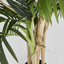 Artificial Areca Palm Real Touch 1.9m - House of Isabella AU