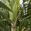 Artificial Areca Palm Real Touch 1.9m - House of Isabella AU