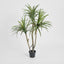 Yucca Tree Real Touch 125cm - House of Isabella AU