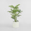 Palm Tree Real Touch 125cm - House of Isabella AU