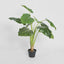Philo Real Touch 90cm - House of Isabella AU