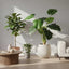 Philo Real Touch 90cm - House of Isabella AU