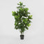 Artificial Fiddle Leaf Tree 1.75m - House of Isabella AU