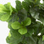 Artificial Fiddle Leaf Tree 1.75m - House of Isabella AU