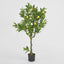 Lemon Tree Real Touch 120cm