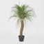 Artificial Grass Tree Small - House of Isabella AU