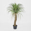 Artificial Grass Tree Small - House of Isabella AU