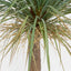Artificial Grass Tree Lge - House of Isabella AU