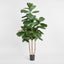 Artificial Fiddle Leaf Tree w/74 Lvs - House of Isabella AU