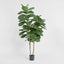 Artificial Fiddle Leaf Tree w/74 Lvs - House of Isabella AU