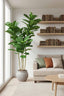Artificial Fiddle Leaf Tree w/74 Lvs - House of Isabella AU