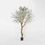 Giant Cherry Blossom Tree 2.4m White