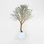 Giant Cherry Blossom Tree 2.4m White