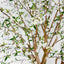 Giant Cherry Blossom Tree 2.4m White
