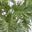 Artificial Split Philo potted Bush 50 Lvs 75cm - House of Isabella AU