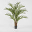 Palm Tree 2m