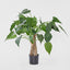 Artificial Alocasia Cucullata Tree 47 Lvs 95cm - House of Isabella AU