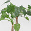 Artificial Alocasia Cucullata Tree 47 Lvs 95cm - House of Isabella AU