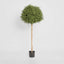 Artificial Rosemary Ball Tree 960 Lvs 1.2m - House of Isabella AU