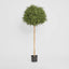 Artificial Rosemary Ball Tree 960 Lvs 1.2m - House of Isabella AU