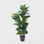 Artificial Rubber Tree 130cm - House of Isabella AU