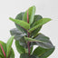 Artificial Rubber Tree 130cm - House of Isabella AU