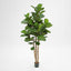 1.8M Fiddle Leave Tree With 94 Leaves