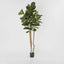 1.8M Fiddle Leave Tree With 94 Leaves