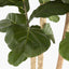 1.8M Fiddle Leave Tree With 94 Leaves
