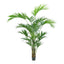 2.5m Kentia Palm 518 Leaves