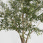 Artificial Giant Olive Tree with 3366 Leaves Green 135cm