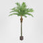 Majesty Palm With 960 Leaves Green 240cm