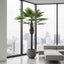 Majesty Palm With 960 Leaves Green 240cm
