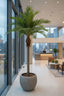 Majesty Palm With 960 Leaves Green 240cm