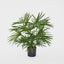 Pack of 2 x Baby Fan Palm Potted Bush w/17 Leaves 45cm