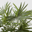 Pack of 2 x Baby Fan Palm Potted Bush w/17 Leaves 45cm