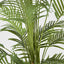 Real Touch Palm Tree In Black Pot 210cm
