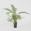 Pack of 2 x Palm Tree In Black Pot 130cm