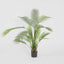 Pack of 2 x Palm Tree In Black Pot 130cm