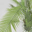 Pack of 2 x Palm Tree In Black Pot 130cm