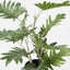 Real Touch Philo In Black Pot 50cm