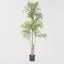 Nandina Tree 180 CM