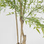 Nandina Tree 180 CM