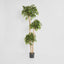 Artificial Ficus Tree 180cm