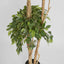 Artificial Ficus Tree 180cm