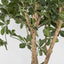 Artificial Oriental Olive Tree 155cm