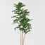 Artocarpus Tree 155cm